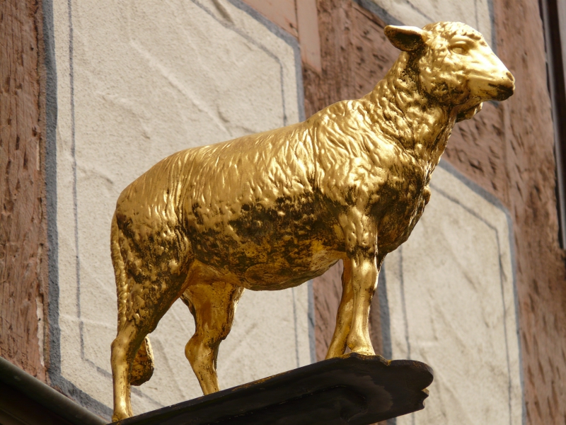 ferronnier-ST ANTONIN-min_lamb-49614